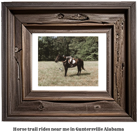 horse trail rides near me in Guntersville, Alabama